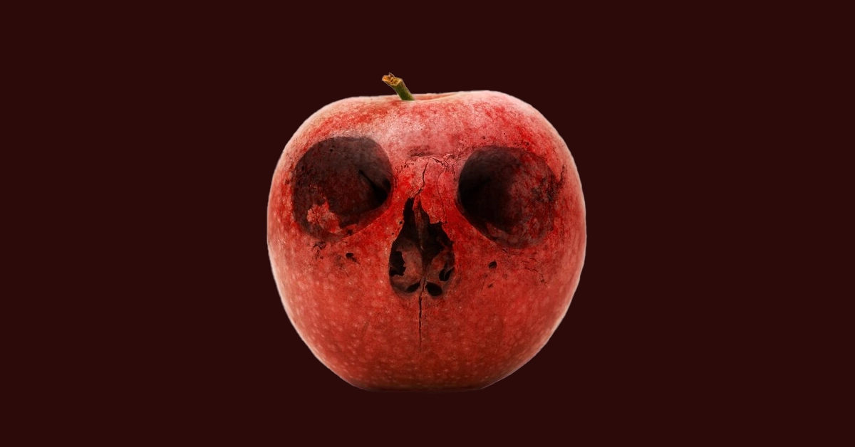 Whatever You Eat Awakens You